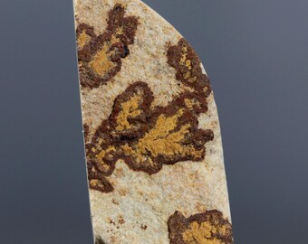 Dendritisk kalksten Cabochon Tyskland Psilomelane Stone