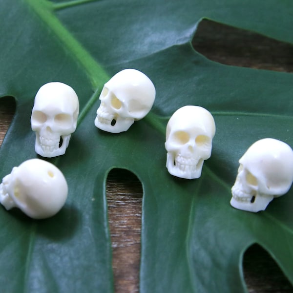 Hand Carved Bone Set of 2 Skull Sculpture Top Drilled Beads