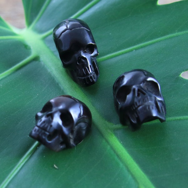 Black Skull Cabochon Bull Horn Carving Flat Back 1 Piece