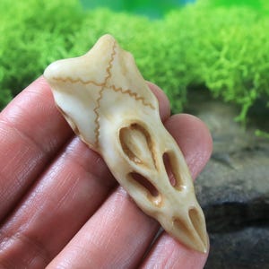 Raven Skull Pendant Hand Carved Buffalo Bone Rustic Look Jewelry Making Supply