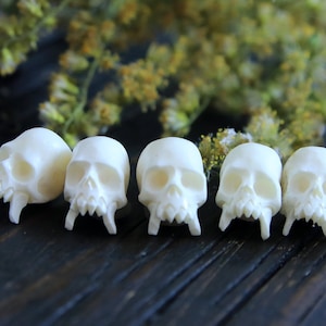 1 Pair Carved Buffalo Bone Skull Cabochon Realistic Carvings Collectible Charm Not Drilled