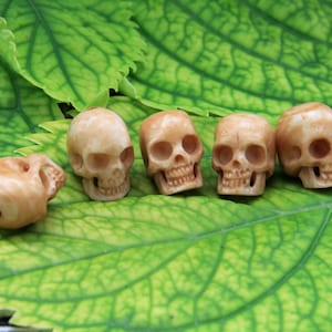 May include: Five small, carved bone skulls in various shades of beige and brown, arranged in a row on a green leaf.
