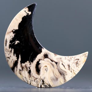 Crescent Moon Petrified Palm Root Cabochon Bohemian Polished Fossil Rock