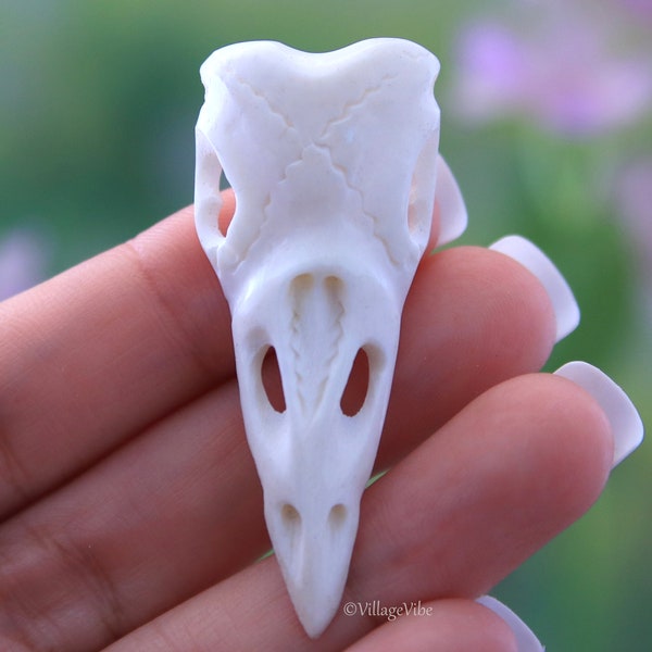 Raven Skull Carving Hand Carved Bone Men Jewelry