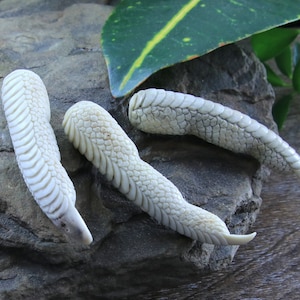 Bird Claw Hand Carved Deer Antler Jewelry Making Supply