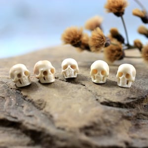 Hand Carved Deer Antler Tiny Skull Carving Set of 5