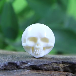 Flat Back Skull Cabochon Hand Carved Bone 15mm Cameo