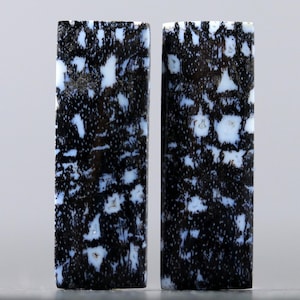 May include: Two rectangular pieces of black and white dendritic opal. The opal has a swirling pattern of black dendrites on a white background.