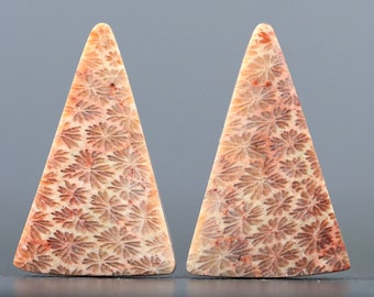 Pode incluir: Duas peças triangulares de coral fossilizado com uma cor marrom claro e laranja. O coral tem um padrão floral.