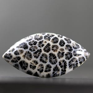 Può includere: Una pietra lucida di forma ovale, con una base bianca e un sorprendente motivo di formazioni nere a forma di stella. La superficie della pietra è liscia e riflettente, creando un contrasto tra gli elementi chiari e scuri.