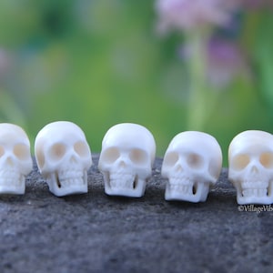 Hand Carved Bone Set of 5 Realistic Skull Carving