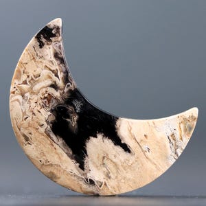 Crescent Moon Petrified Palm Root Cabochon Bohemian Jewelry Making, Wood Fossil Stone