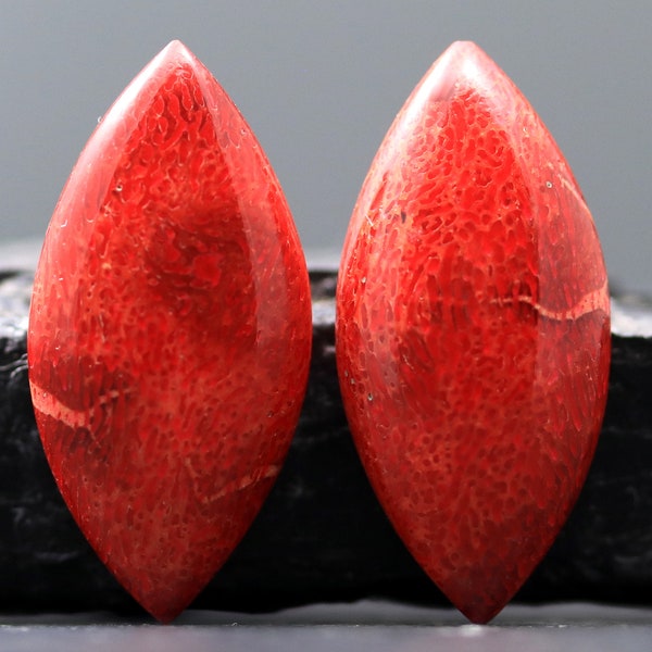 Red Coral Cabochon Pair Set of 2 Marquis Shape Dangle Earring Setting