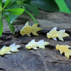 Koi Fish Hand Carved Mother of Pearl Cabochon