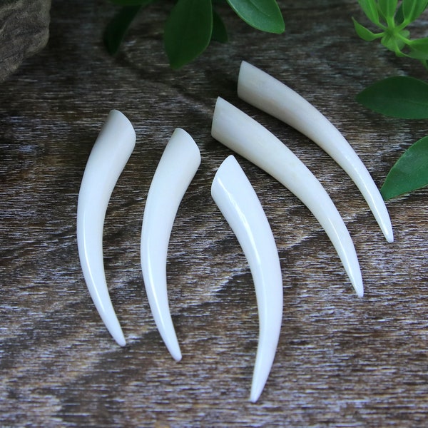Hand Carved Water Buffalo Bone Tusk Cabochon Not Drilled 1 Piece