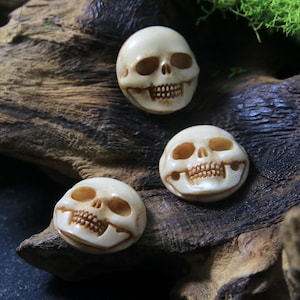 May include: Three white skull-shaped buttons with brown painted details. The skulls are smiling with teeth and have eye sockets.