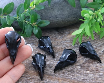 Hand Carved Black Raven Skull Bull Horn Charm: 30mm Cabochon