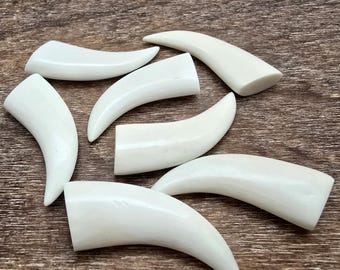 May include: Seven off-white, curved, tooth-shaped objects are arranged on a wooden surface. Each object has a smooth, polished appearance, with a rounded tip and a flat, cut base. The objects vary slightly in size and curvature.
