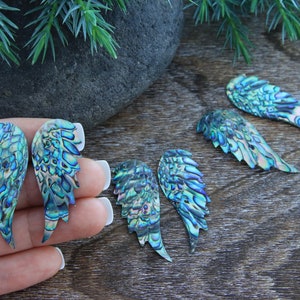 May include: Four pairs of iridescent abalone shell wings in various shades of blue and green. The wings are arranged in a row on a wooden surface.