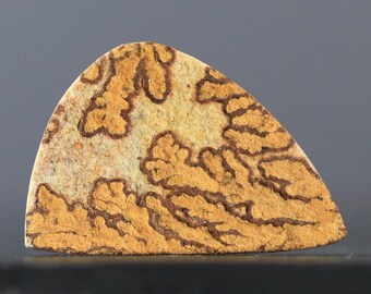 Dendritisk kalksten Cabochon Tyskland Psilomelane Stone