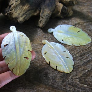 May include: Three iridescent white and yellow mother of pearl shell feather pendants with a hole at the top for stringing.