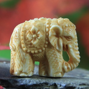Olifant Cabochon Gesneden Been Antieke Look