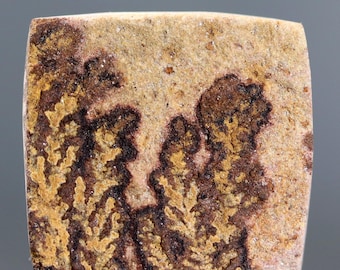 Dendritisk kalksten Cabochon Mangan Råsten Naturligt Mineralprov