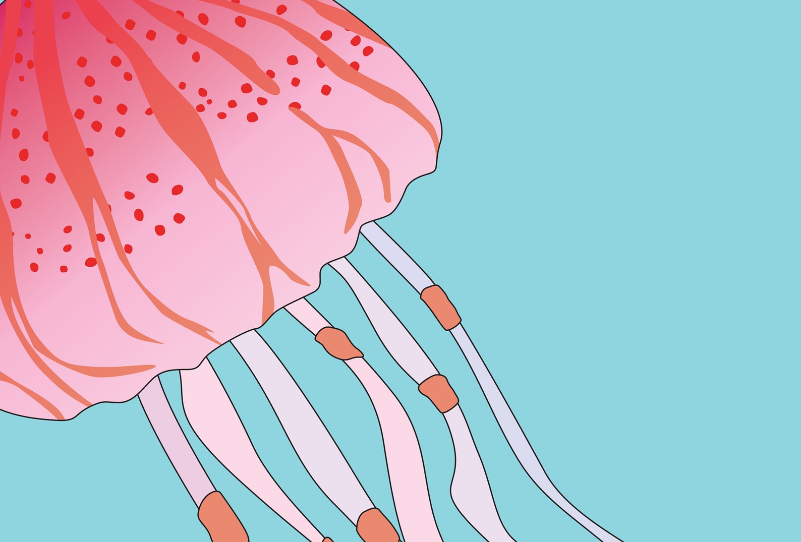 Well jel jellyfish sea life quote print typography print Etsy