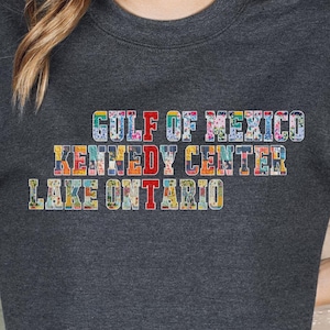 Lustiges Protest-Shirt: FDT Lake Ontario Rundhalsausschnitt | Anti-Trump-Sweatshirt | Patchwork-Muster