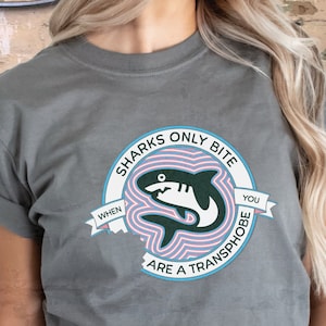Trans Pride Shirt, Funny Trans Shirt Trans Pride T-Shirt, Subtle Trans Gift Mom of Trans Child, Trans Ally, Pride Month March FtM, MtF, LGBT