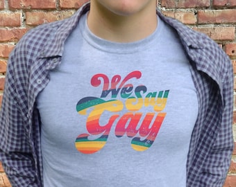 We Say Gay T-Shirt, Florida Don't Say Gay Bill, Gay Pride Family, Love is Love, Ally Shirt, Protest Shirt, LGBT Family Shirt, Vintage Stripe