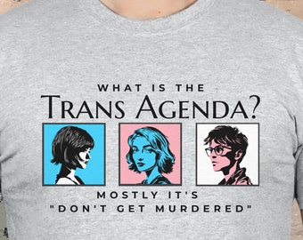 Trans Rights T-Shirt, Trans Agenda TShirt, Protect Trans Kids Tee, Trans Lives Matter Top, LGBT Ally Shirt, Political Tee, Transgender Pride