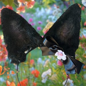 SHEPHERD EARS Color choice