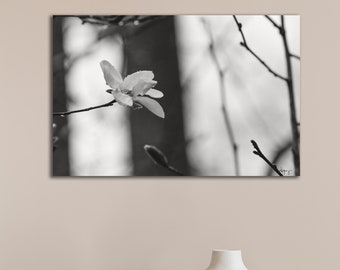 Cherry Blossom Wall Print, Japanese Art Print, Gifts for Her, Photo Wall Decor, Home Office, Home Wall  Decor, Acrylic Print, Large Wall Art
