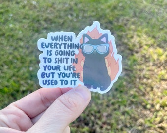 Adult humor cat Waterproof vinyl sticker, funny sticker, cat sticker