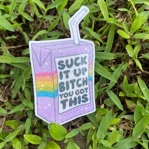 Suck it up vinyl sticker, adult humor sticker, motivational sticker, funny sticker, you got this image 1