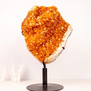 Stunning Large Citrine Crystal Cluster with Rare Stalactite Flower – Statement Décor on Custom Stand - 52 Lb. 24 In.