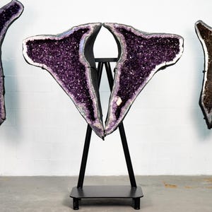 Spectacular 64-Inch Amethyst Butterfly Wings Geode – Dolphin Formation & Deep Purple Crystals, 454 lb Statement Piece for Luxurious Décor