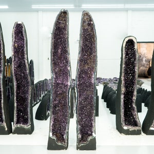 Op de afbeelding: Een verzameling grote amethistgeoden, sommige staan ​​recht, andere liggen plat, in verschillende maten en vormen. De geoden zijn allemaal opengebroken om de paarse kristallen erin te laten zien.