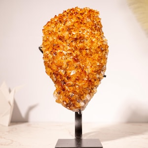 AAA-Grade Citrine Cluster with Intense Orange Druzy and Blossoming Flower Formation, Set on a Custom-Made Stand - 4.4 Kg - 9.7 lb
