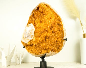 Rare Extra-Large Citrine Flower Cluster with Sparkling Golden-Orange Druzy and Calcite Crystals – Collector's Grade - 43 Lb.