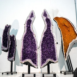 Op de afbeelding: Een verzameling grote amethist- en citrien-geoden die op zwarte metalen standaards worden getoond. De geoden zijn opengebroken om de kristallen erin te laten zien.