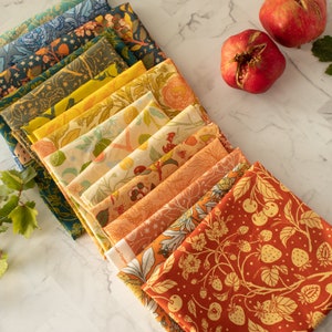 Bountiful by Mustard Beetle, Fat Quarter Bundle, Bundle of 16, Birch Fabrics