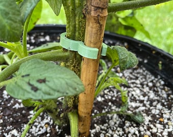 The Original Plant Clip - (Tomatoes, Sunflowers, Cucumbers)