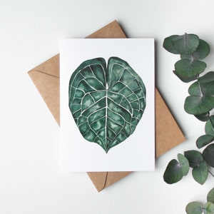 Anthurium Clarinervium blad wenskaart
