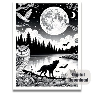 May include: Black and white illustration of a wolf howling at the moon in a forest setting. The moon is full and bright, and there are trees, a lake, and a bird in the background. There is also an owl perched on a branch.