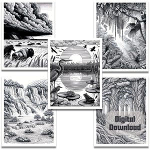 May include: A set of five black and white illustrations featuring different natural scenes. The illustrations include a stormy sky over a grassy plain, a heron standing in a pond, a waterfall cascading down a rocky cliff, a dense forest, and a jungle scene with a parrot.