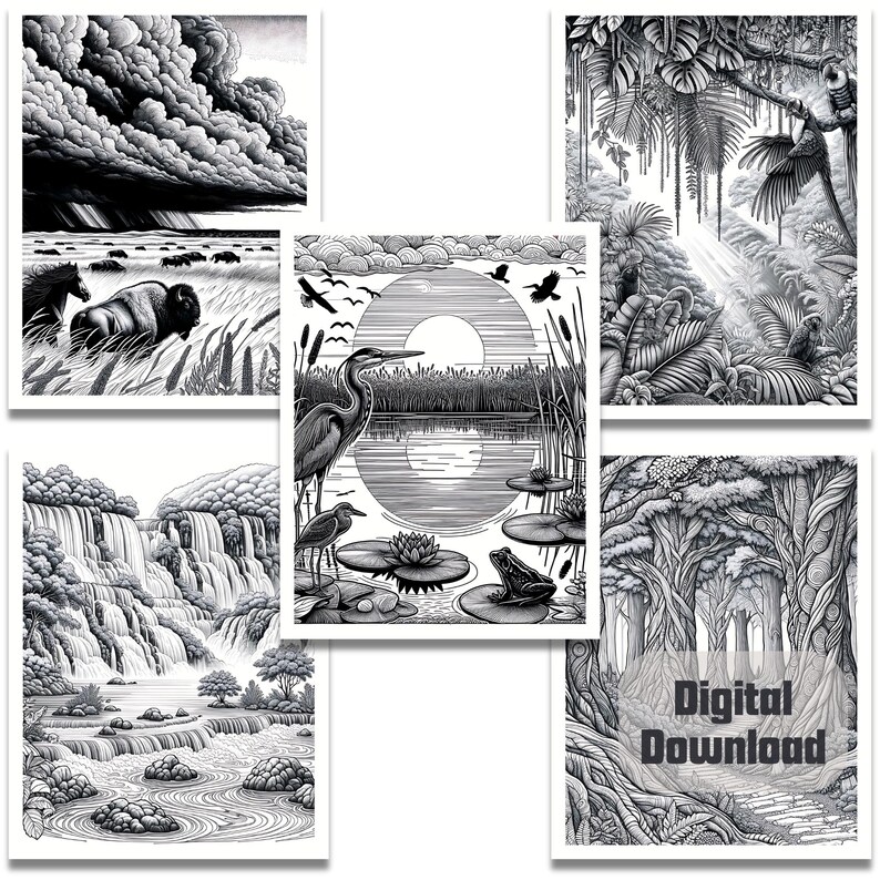 May include: A set of five black and white illustrations featuring different natural scenes. The illustrations include a stormy sky over a grassy plain, a heron standing in a pond, a waterfall cascading down a rocky cliff, a dense forest, and a jungle scene with a parrot.