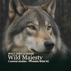 May include: A detailed portrait of a grey wolf with amber eyes, featuring the text WOLF, STAG & HORSE Wild Majesty 3 animal studies · Printable artist kit. The wolf has thick fur in shades of grey, brown, and cream, with a dark, blurred forest background.