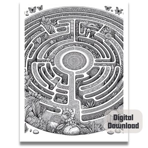 May include: An intricate black and white maze design with a circular centre and a detailed border of flowers and leaves.